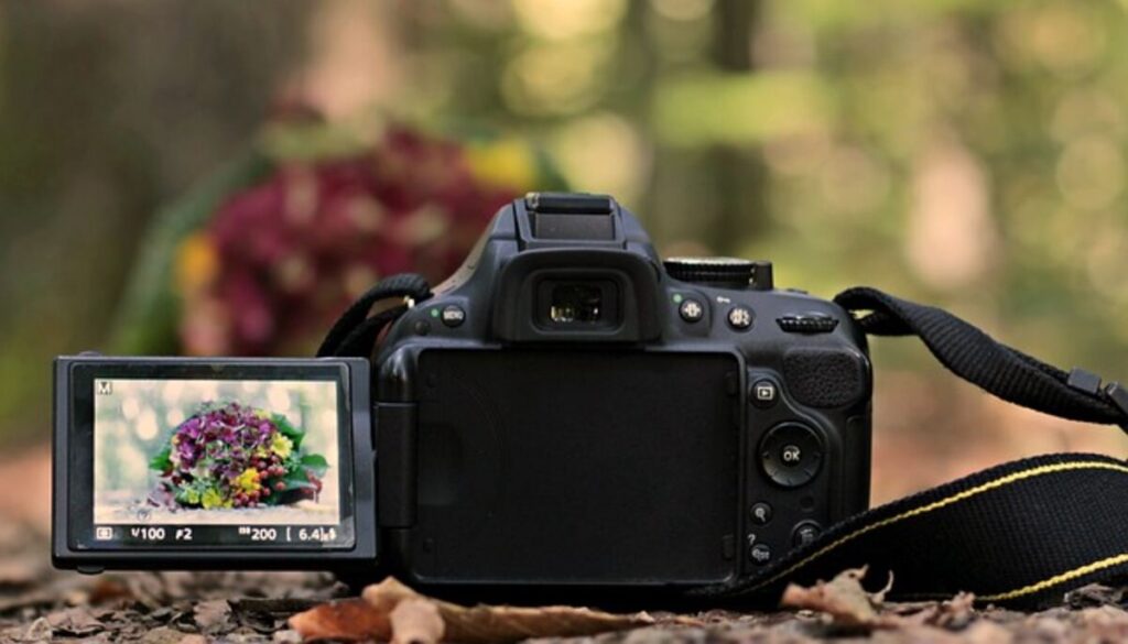 Learn Digital Photography