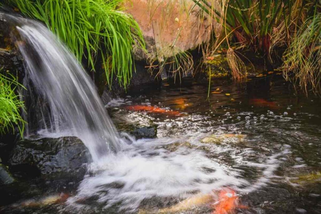 Ponds & Waterfalls