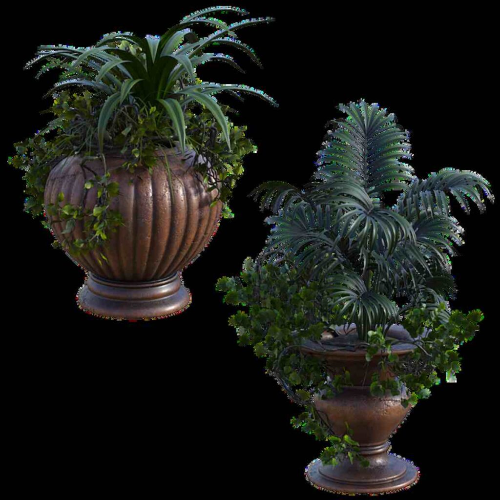 Black Plants