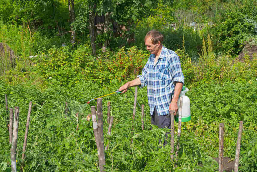 Garden Safe Fungicide