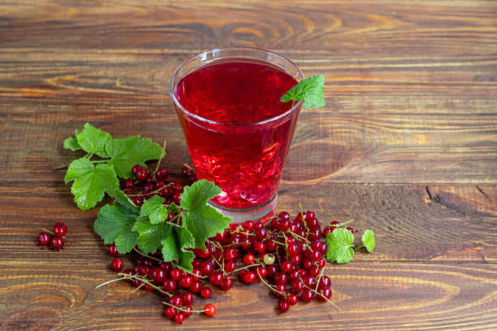 The Health Benefits of Forest Fruit