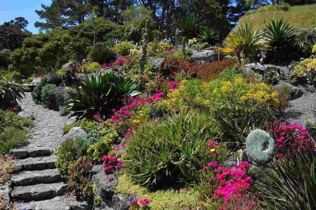 Missouri Botanical Garden Plant