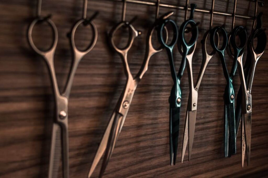 Top Pinking Shears